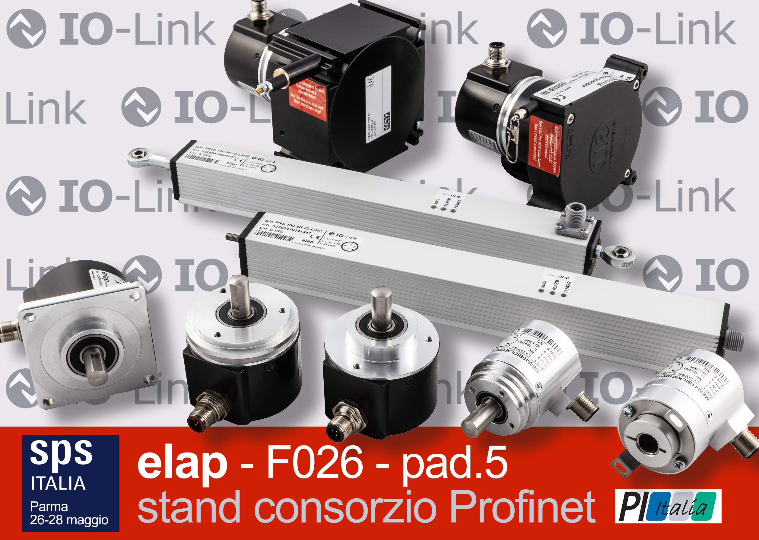 Elap